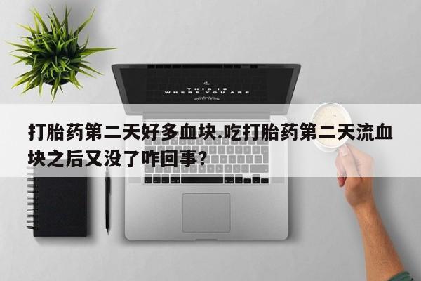 推荐个卖打胎药的联系方式，打胎药第二天好多血块.吃打胎药第二天流血块之后又没了咋回事？