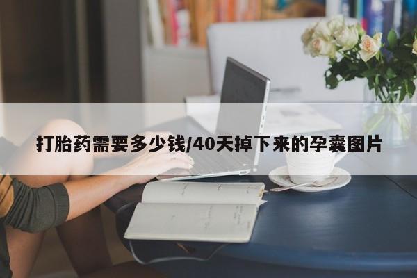 推荐个卖打胎药的联系方式，打胎药需要多少钱/40天掉下来的孕囊图片
